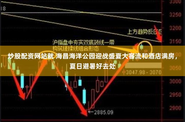 炒股配资网站就 海昌海洋公园迎战盛夏大客流和酒店满房，夏日避暑好去处