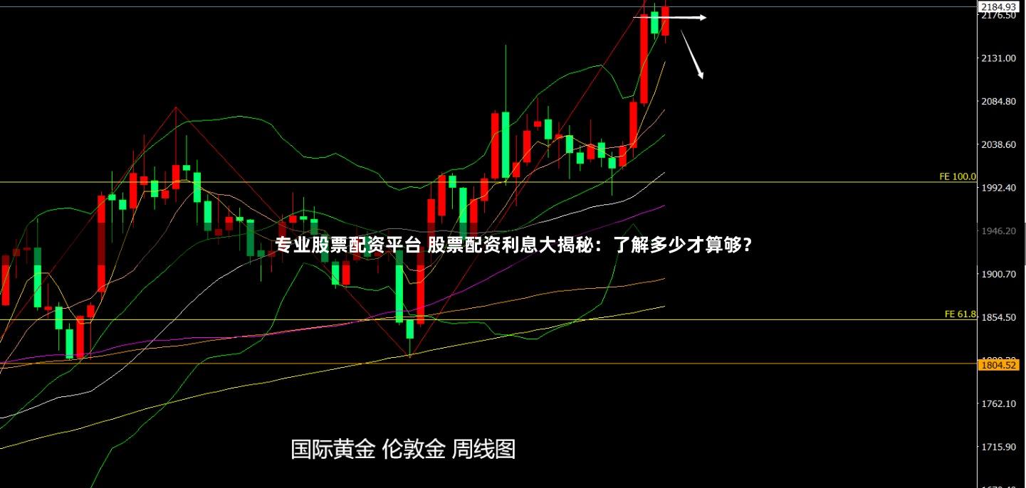 专业股票配资平台 股票配资利息大揭秘：了解多少才算够？