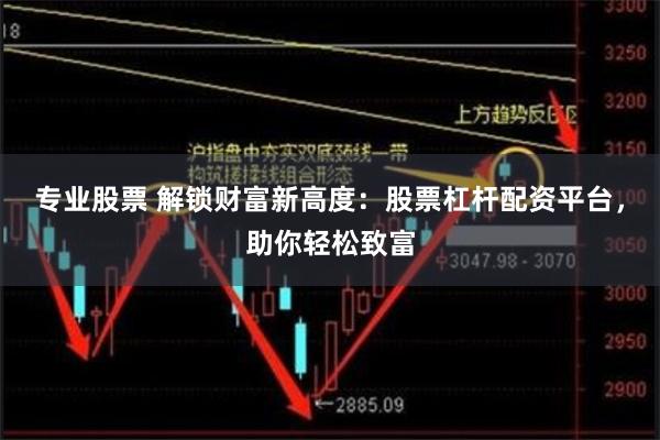 专业股票 解锁财富新高度:股票杠杆配资平台,助你轻松致富