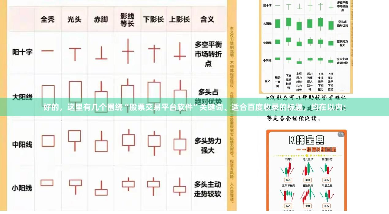 好的，这里有几个围绕“股票交易平台软件”关键词、适合百度收录的标题，均在以内：